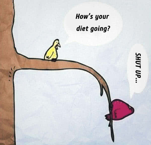Why Can’t I Lose Weight? Why Can’t I Lose Weight?